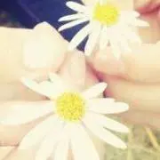 いわしの画像