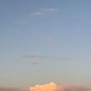 ゆゆの画像