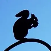 さっぴ☺︎ ※プロフ確認お願いします！の画像