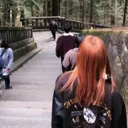 ぴぴの画像