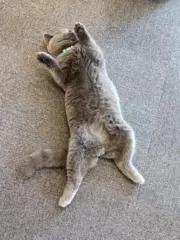 maikiの画像