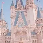 あんずの画像