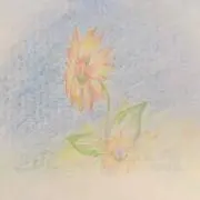 まどか