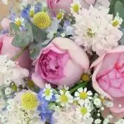 m.の画像