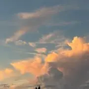 さいとうの画像
