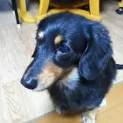 ＊ハナママ＊の画像