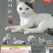 ねこの画像