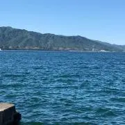 りんりん ⭐︎の画像