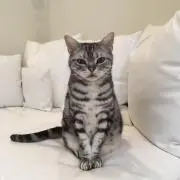 youの画像