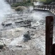 重猫