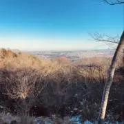 新参者の画像