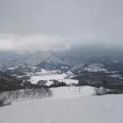 きょう