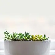 y✩.*˚⛄️まとめ買い料金相談可☆