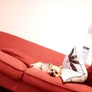 あゆ