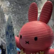 りーの画像