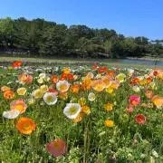 になの画像