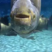 プロフ必読