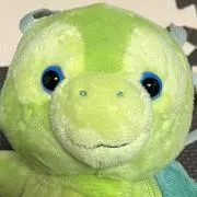 そらの画像