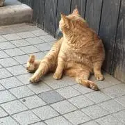 yun.の画像