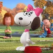 Woodstock☆売り切り希望☆