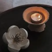 高井白陽 菓子器 漆工芸 菊蒔絵 お盆 箱付 Q1860 - メルカリ