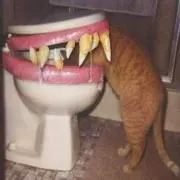 ともの画像