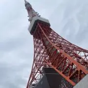 あーメル(ᵔᴥᵔ)の画像