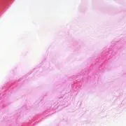 ®️