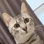 もゆ