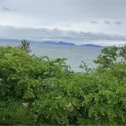 ふじの画像