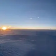 はるの画像