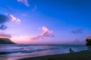 roxyの画像