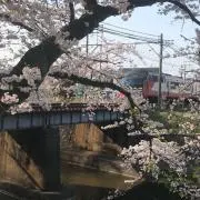 バス釣り王の画像