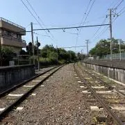 まめの画像