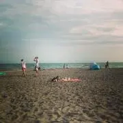 ななくさの画像