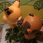 でーの画像