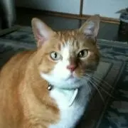 らっちゃんままの画像