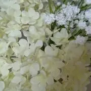 ☆Tami☆の画像