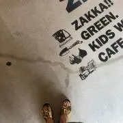 saaの画像