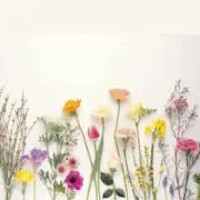 ハハ⭐24時間以内に発送します！