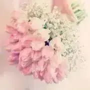 よよよの画像
