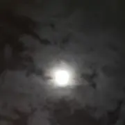ぱろっち