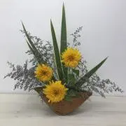 コッシーの画像