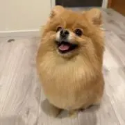 なな