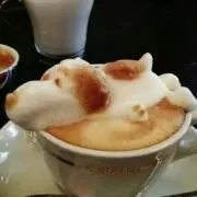 ぷりん