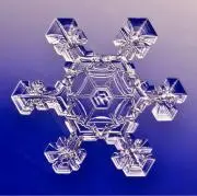 SNOWの画像