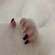 りぼんの画像
