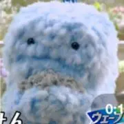 apoの画像