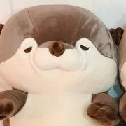 みかん