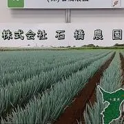 (株)石橋農園の画像